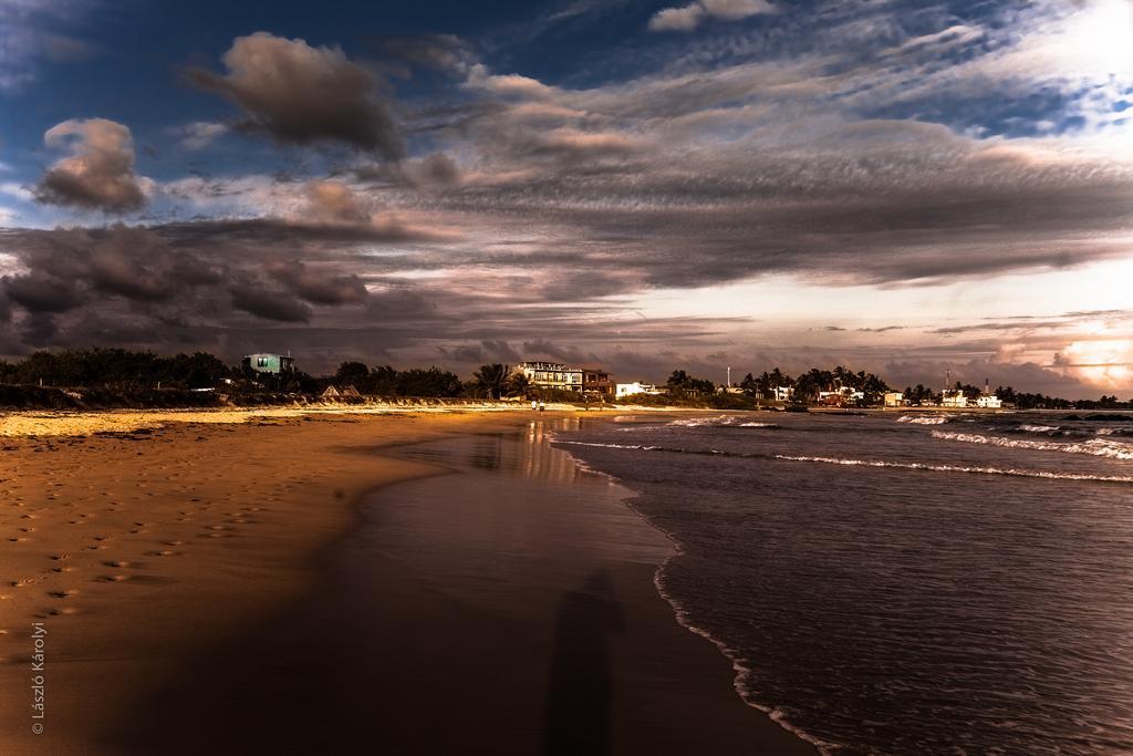 Iguana Crossing Boutique Hotel ปวยร์โต วิลยามิล ภายนอก รูปภาพ