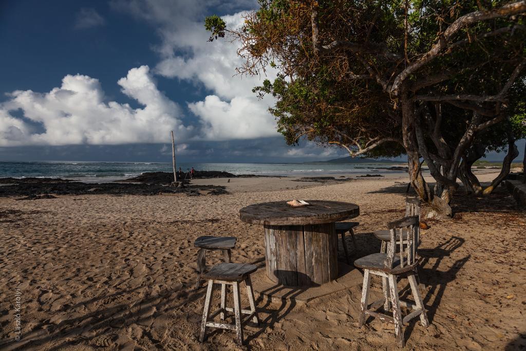 Iguana Crossing Boutique Hotel ปวยร์โต วิลยามิล ภายนอก รูปภาพ