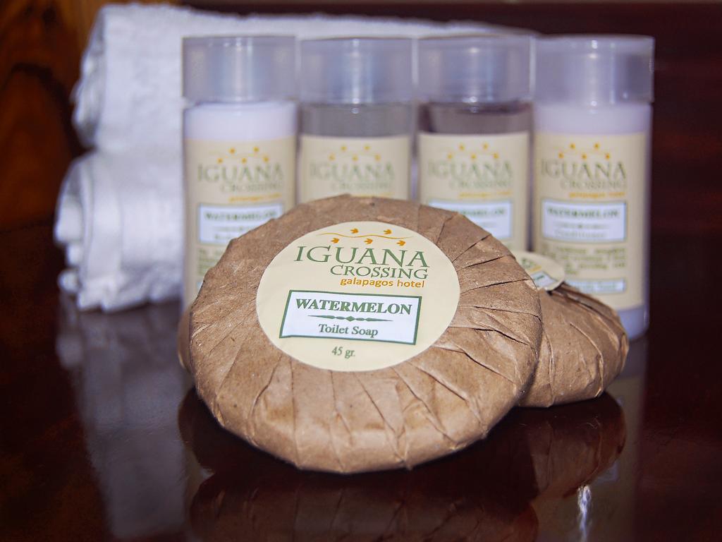 Iguana Crossing Boutique Hotel ปวยร์โต วิลยามิล ห้อง รูปภาพ